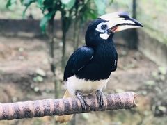 -吉隆坡雀鸟公园