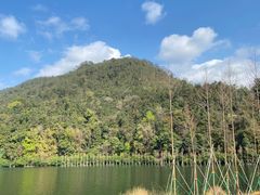 -广州市石门国家森林公园