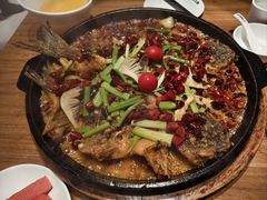 -老板恋上鱼(恒隆广场店)