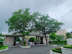 -潮阳区政府大楼