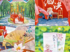 -泗洪洪泽湖湿地景区