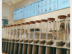 -喜茶(迪士尼小镇DP店)