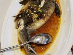 奇妙三豉酱蒸鲟龙鱼-万龙洲海鲜(大兴绿地缤纷城店)