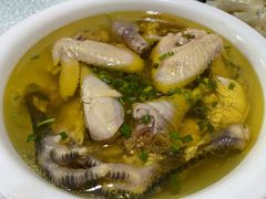 -呼吸森林·生态农庄农家乐私房菜