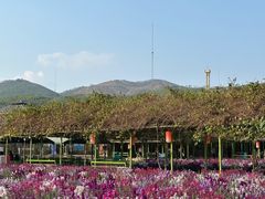 -盈香心动乐园