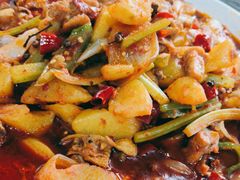 -照金特色农家乐