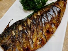 烤青花鱼-东京屋(武定路店)