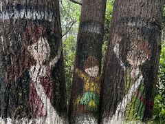 -合肥滨湖国家森林公园