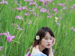 -杭州城北体育公园