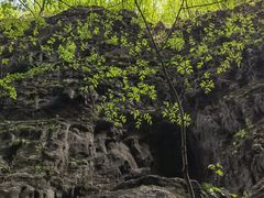 -野三坡百里峡景区