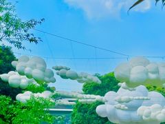 -南山植物园