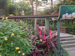 -南宫五洲植物乐园