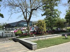 -上海长兴岛郊野公园