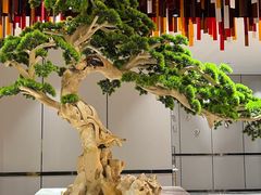 -青水瓦台汤泉(未央店)