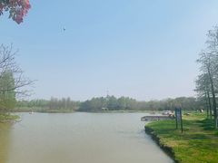 -春花秋色城市公园