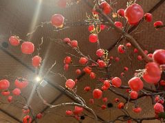 -传统菜农庄(皇姑路店)