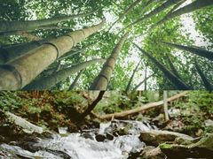 -济南金象山乐园
