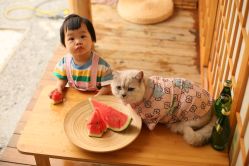 -专注孕妇照亲子照·纪田摄影