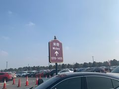 -迪士尼乐园停车场