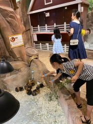 -宝燕乐园(闵行旗舰店)