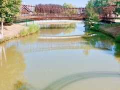 -西安浐灞国家湿地公园