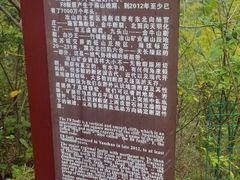-冶山国家矿山公园
