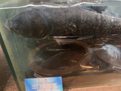 -上名堂·鱼头好吃(体育场路店)