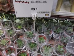 -IKEA宜家家居(南京商场)
