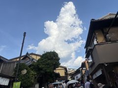 -有栖山 清光院 清水寺
