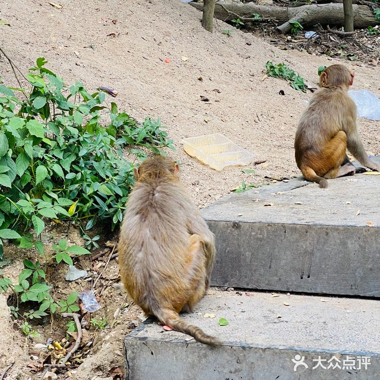 吃吃喝喝玩玩乐乐（贵州黔灵山）