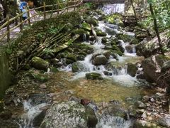 -青峰峡国家森林公园