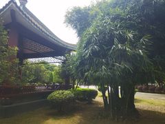 -顺峰山公园