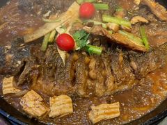 -老板恋上鱼(恒隆广场店)