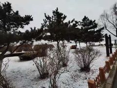 -丁香湖公园