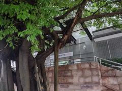 -佛山市图书馆(祖庙路分馆)