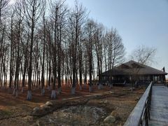 -苏州太湖湖滨国家湿地公园