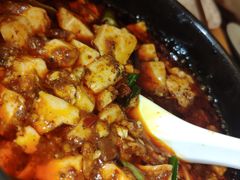 -陈麻婆豆腐总店