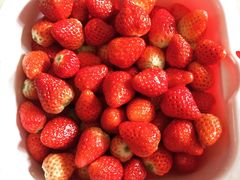 -好利来(熙地港店)