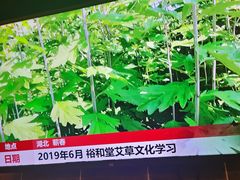 -裕和堂中医推拿艾灸(太古汇臻品店)