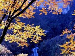 -山西壶关太行山大峡谷旅游景区