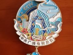 -中央广播电视总台(光华路办公区)