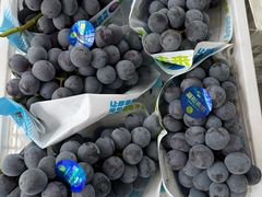 -马陆小张葡萄园农家乐