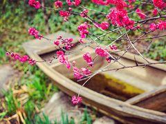 -江苏三台山国家森林公园