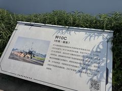 -成飞公园