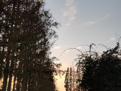 -前小桔亲子创意农场·草莓采摘·露营烧烤