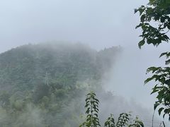 -四明山国家森林公园