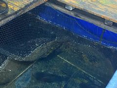 -蓝湾碧波·老字号·疍家非遗海上餐厅