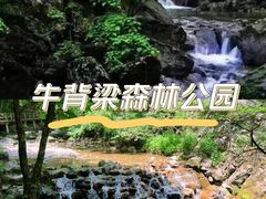 -牛背梁国家森林公园