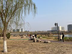 -水西公园