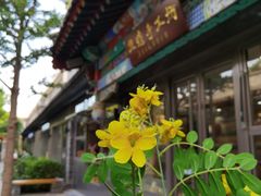 -老北京风情街